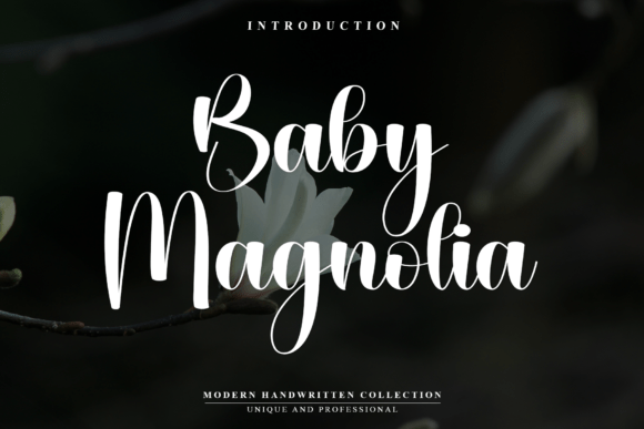 Baby Magnolia: A Stylish Script Font for Modern Brand Campaigns