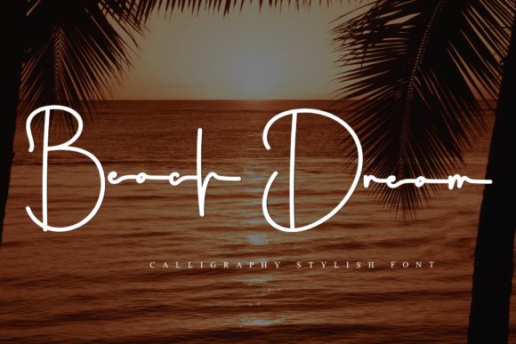 Beach Dream: A Soft, Stylish Script Font for Real Branding Projects