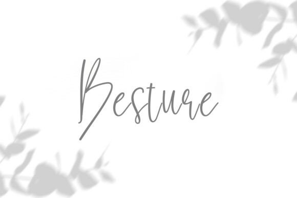 Besture Regular: A Handwritten Font That Brings Your Craft Designs to Life