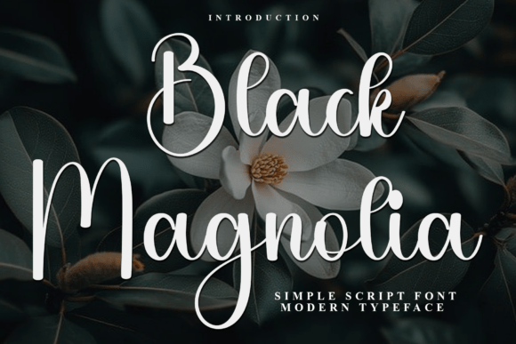 Black Magnolia: A Modern Script Typeface for Elegant Editorial Design