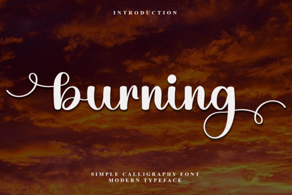 How a Simple Font Choice Transformed My Brand’s Look